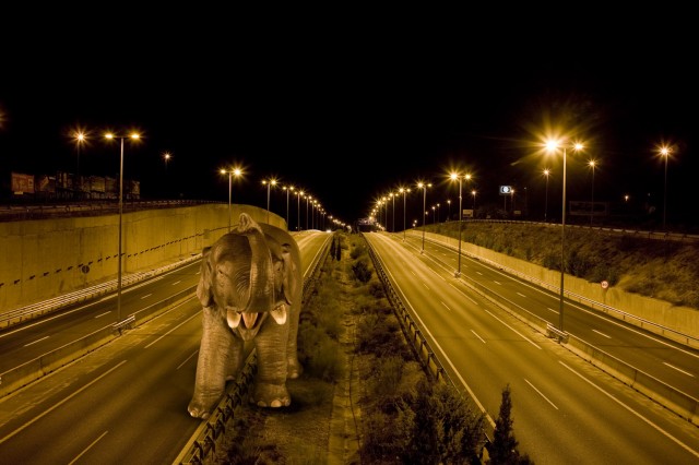 Don´t think about the Elephant