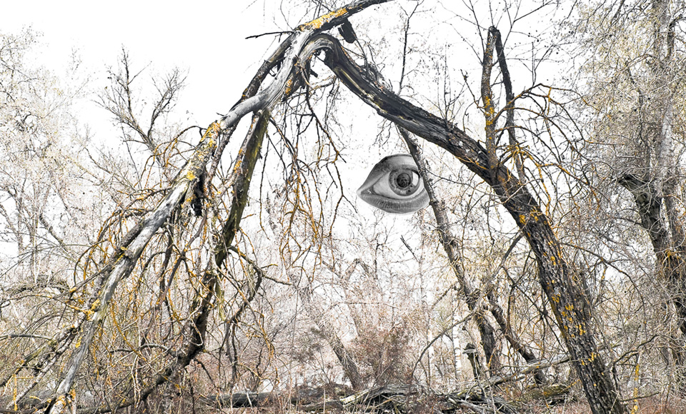 The Eye Deceives You